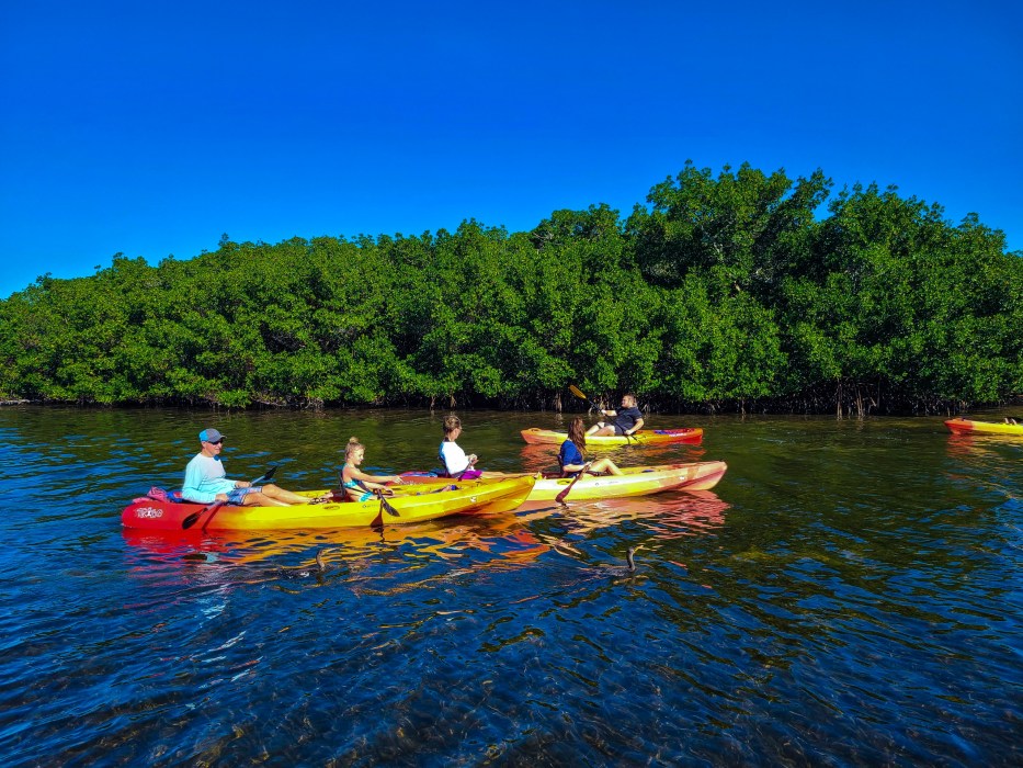 Siesta Key Kayak and Paddleboard Rentals | SURFit USA