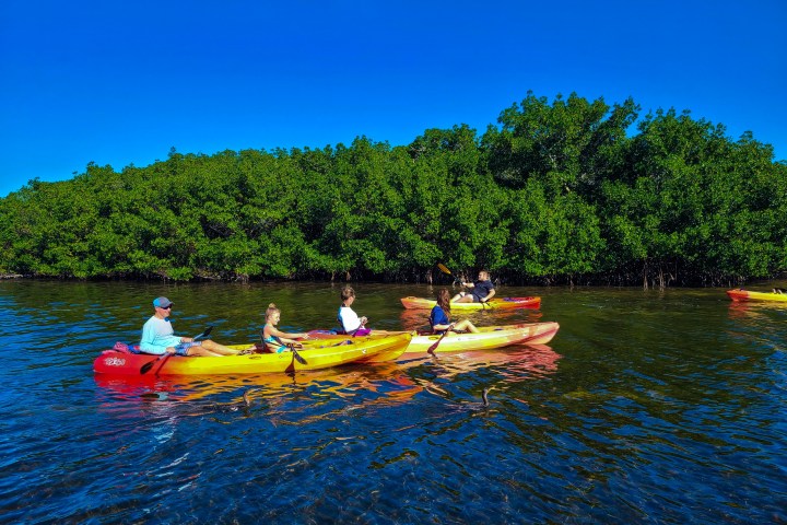 a group of people rowing a boat in the water