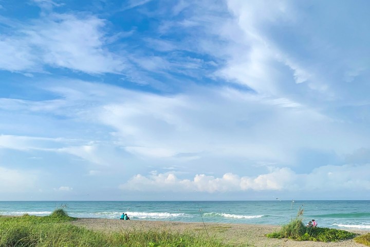 a group of people on a beach near a body of water